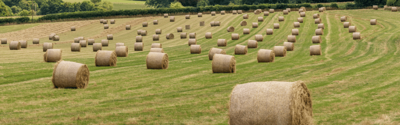 A Guide to Agricultural and Tractor Finance